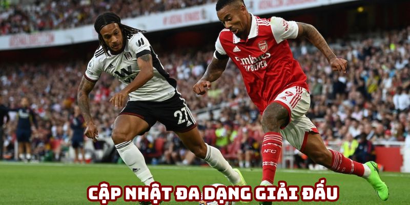 Cập nhật lịch đá của đa dạng giải đấu